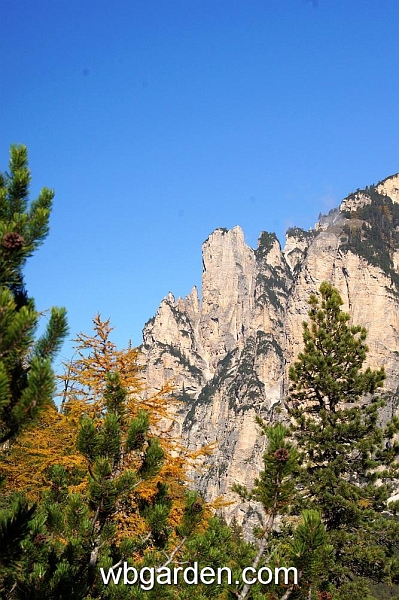 wbgarden alps 38.JPG